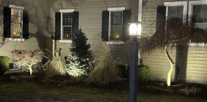Albany NY Landscape Lighting