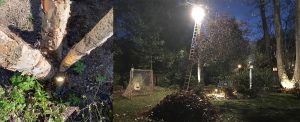 Landscape Lighting Albany Bethlehem Guilderland