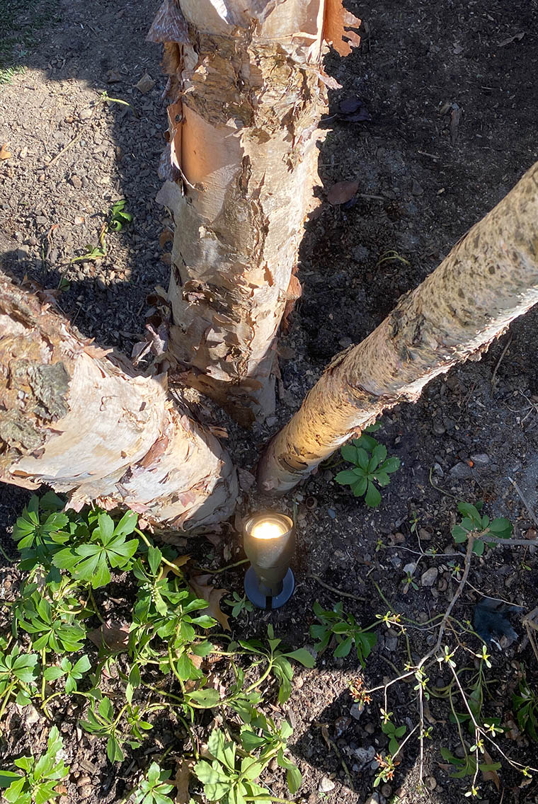 Landscape Lighting Albany Bethlehem Guilderland